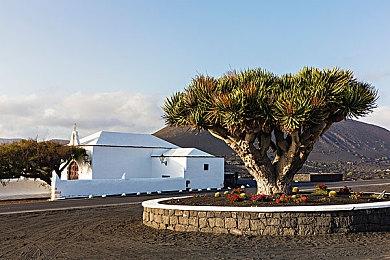 迪士尼真人电影版《白雪公主》主演敲定 泽格勒饰演白雪公主