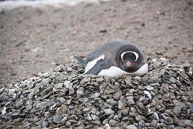 《赛博朋克2077》2.0版本正式更新 附改动列表